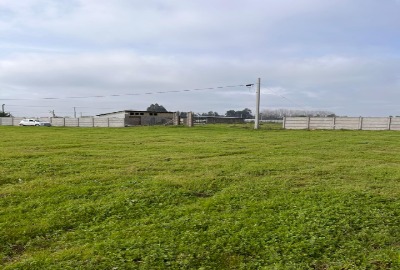 properties