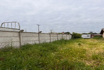 properties